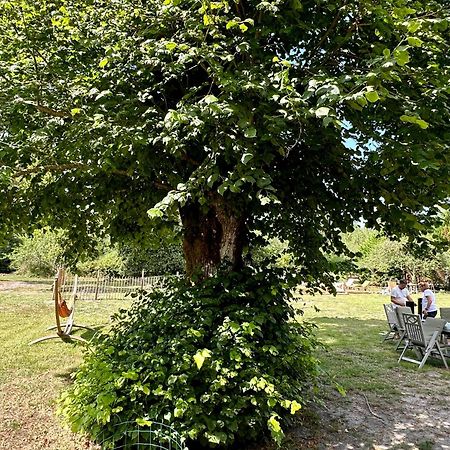 Maison Magnolia Onesse-et-Laharie エクステリア 写真