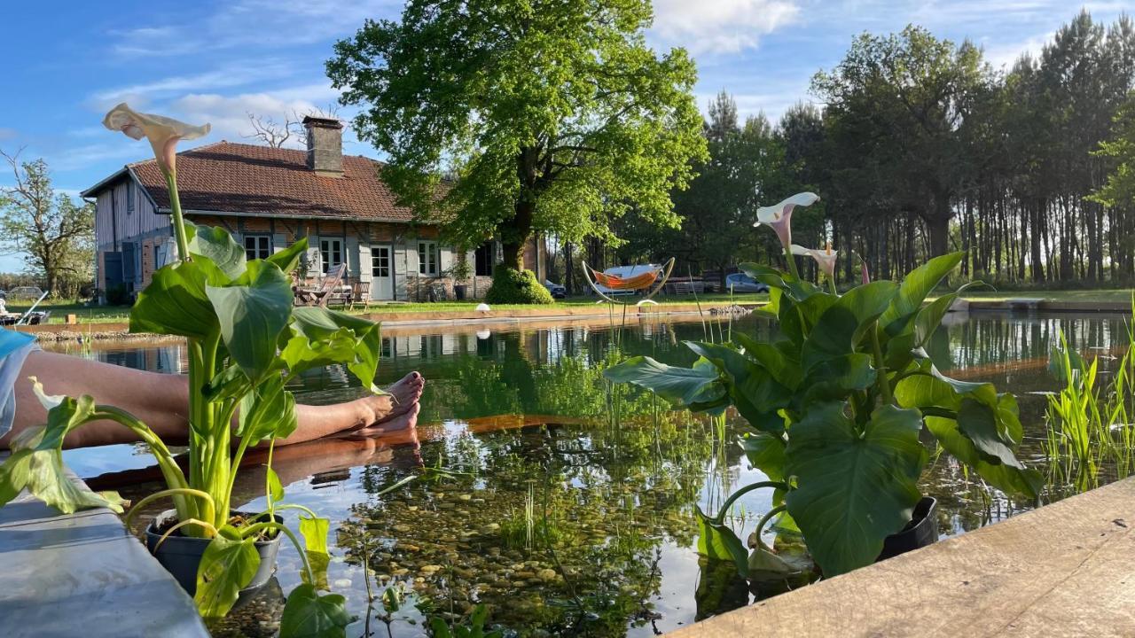Maison Magnolia Onesse-et-Laharie エクステリア 写真